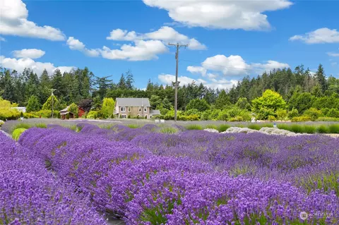545 N 7th Ave, Sequim, WA 98382 photo 35