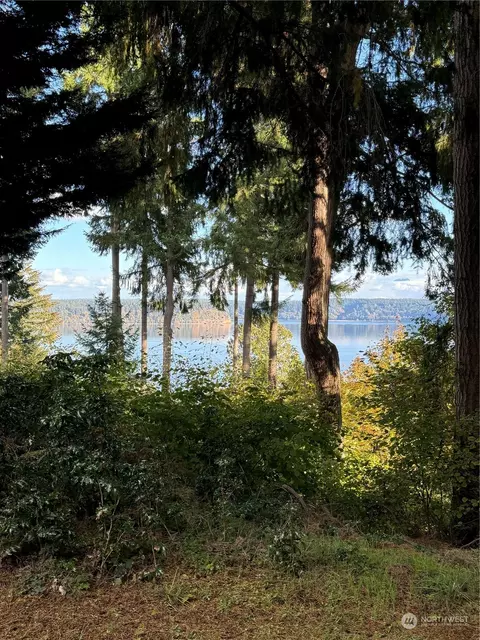 10507 Seaview Dr, Anderson Island, WA 98303