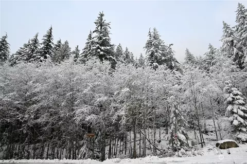 87446 NE Old Cascade Hwy, Skykomish, WA 98288