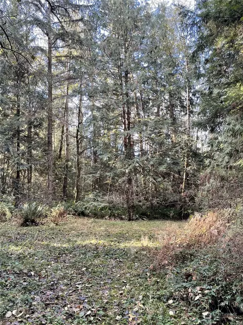 0 5xx Dodger Ln, Port Angeles, WA 98363