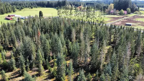 0 Brown Rd E, Chehalis, WA 98532 photo 13