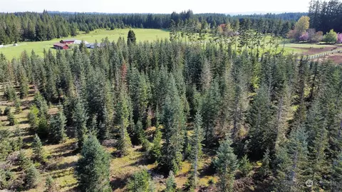 0 Brown Rd E, Chehalis, WA 98532 photo 6