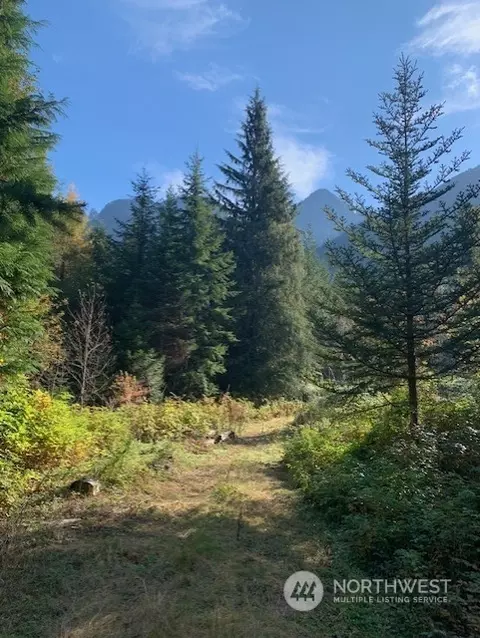 535 SE Nn Se 116th St, North Bend, WA 98045