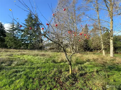 1022 River Rd, Sequim, WA 98382 photo 36