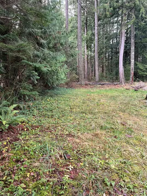 Exterior - 901 Ruby Valley Ct, Maple Falls, WA 98266 photo 10 of 11