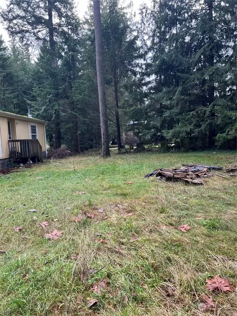 Exterior - 901 Ruby Valley Ct, Maple Falls, WA 98266 photo 7 of 11