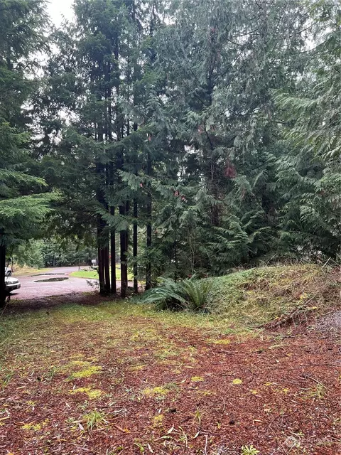 Exterior - 901 Ruby Valley Ct, Maple Falls, WA 98266 photo 5 of 11