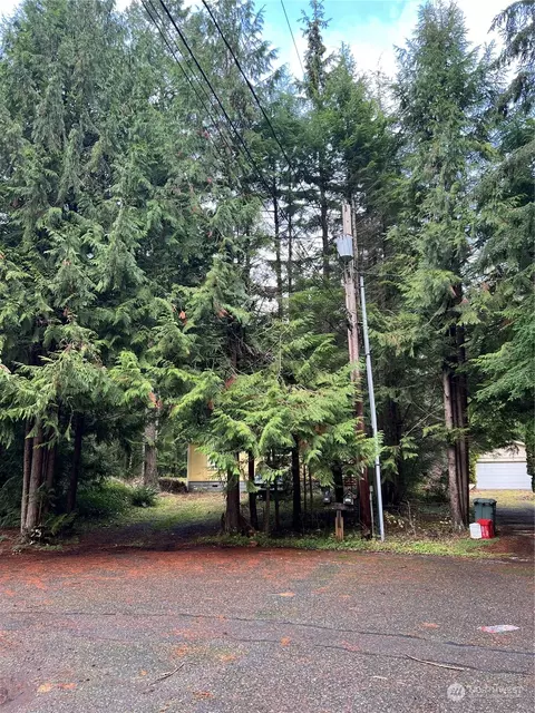 Exterior - 901 Ruby Valley Ct, Maple Falls, WA 98266 photo 1 of 11