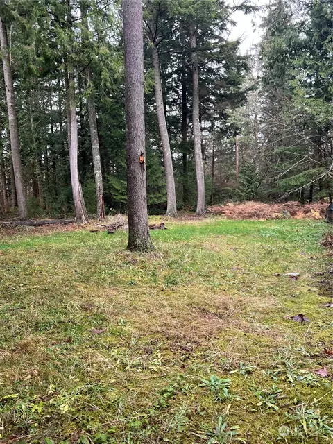 Exterior - 901 Ruby Valley Ct, Maple Falls, WA 98266 photo 11 of 11