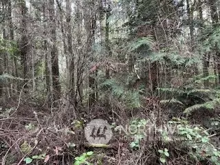 0 Eye St, Port Townsend, WA 98368