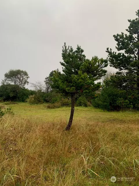 31409 I St, Ocean Park, WA 98640