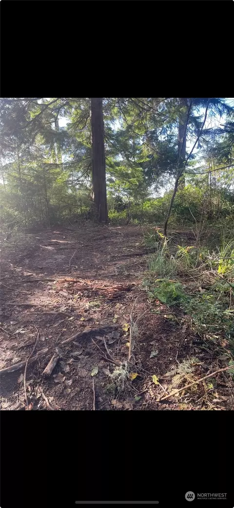 0 Arnie Ln, Westport, WA 98595