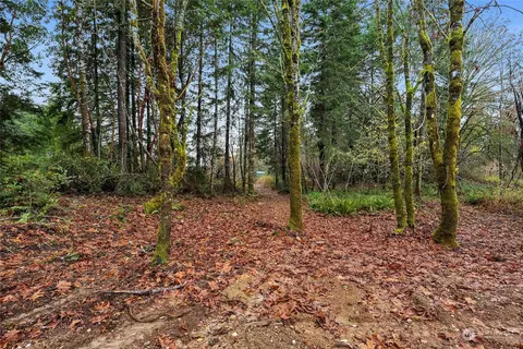 221 E Highlander Dr, Belfair, WA 98528 photo 5