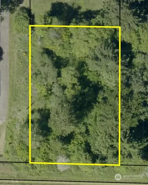 0 Haynes Rd S, Packwood, WA 98361