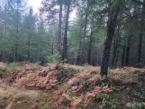 110 Ridge Ln, Packwood, WA 98361