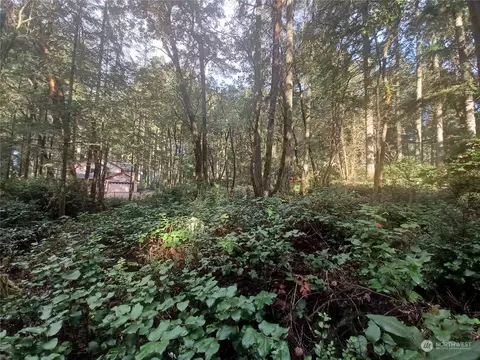 12029 Country Club Dr, Anderson Island, WA 98303