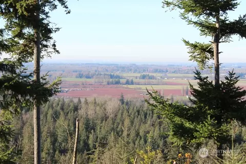 8434 N Pass Rd, Everson, WA 98247 photo 3