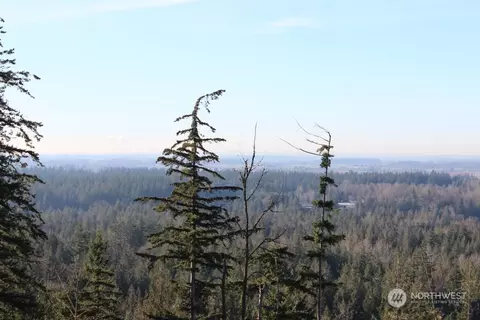 8434 N Pass Rd, Everson, WA 98247 photo 12