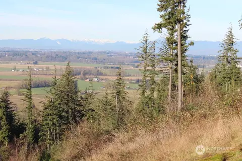 8434 N Pass Rd, Everson, WA 98247 photo 13
