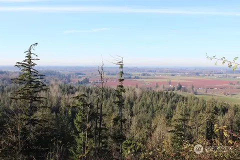 8434 N Pass Rd, Everson, WA 98247 photo 9