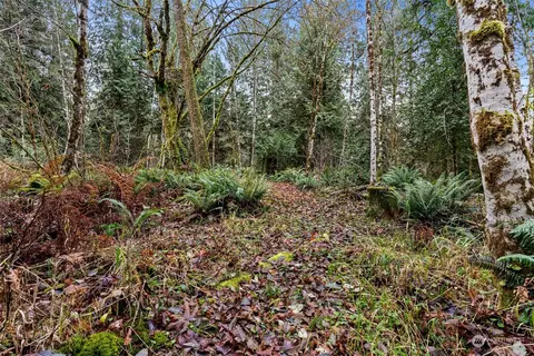 407 Conrad Rd, Winlock, WA 98596 photo 33