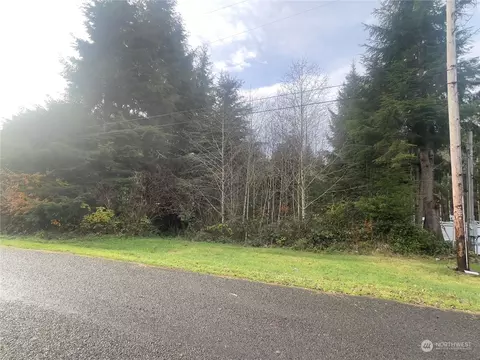 0 Nnn Nelson Pl, Copalis Beach, WA 98535
