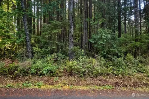 42 Robin Ln, Pacific Beach, WA 98571 photo 4