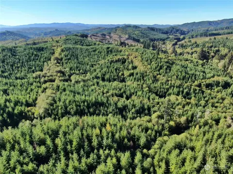 0 Off Of Butte Creek Rd, Raymond, WA 98577