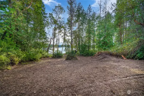 0 E Sublimity Ln, Grapeview, WA 98546 photo 16