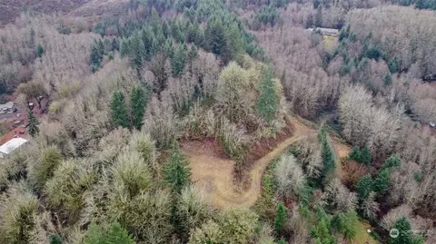 275 Trout Lakes Rd, Castle Rock, WA 98611