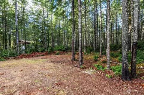 201 E Leisure Ln, Grapeview, WA 98546 photo 23