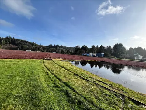 2986 Redding Rd, Grayland, WA 98547 photo 10
