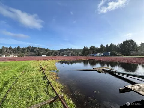 2986 Redding Rd, Grayland, WA 98547 photo 13
