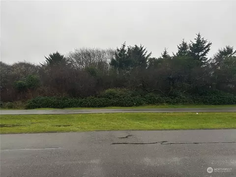 121 Barnacle St NW, Ocean Shores, WA 98569