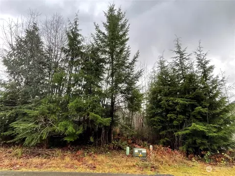 0 Ellinor Peak Pl, Belfair, WA 98528