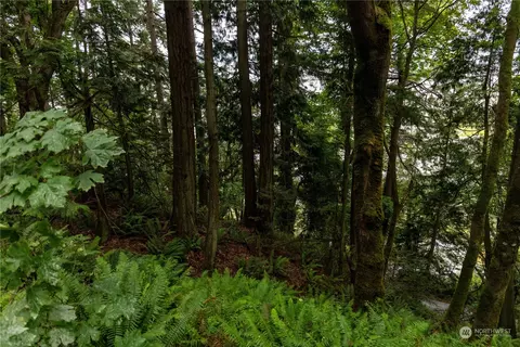 2190 Chuckanut Dr, Bellingham, WA 98232 photo 26