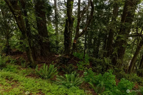 2190 Chuckanut Dr, Bellingham, WA 98232 photo 27