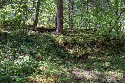 372 30 Craig Rd, Packwood, WA 98361