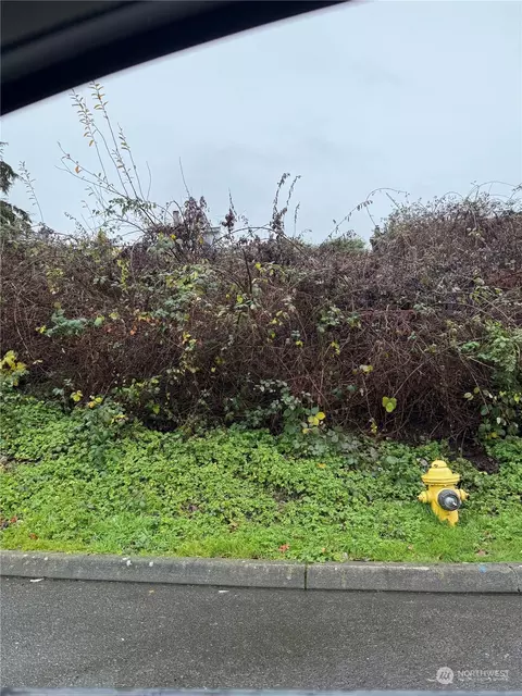 0 Tax Parcel 00536900003900, Mukilteo, WA 98275