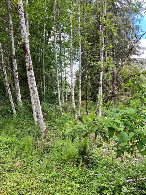 16024 Low Ln, Deming, WA 98244