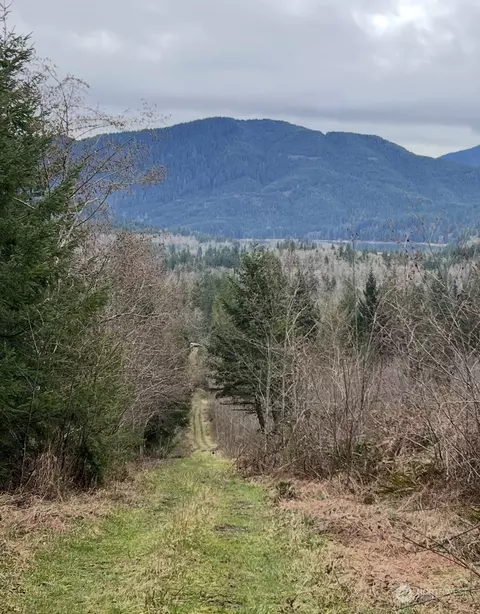 0 Nnn Mountain Hwy E, Eatonville, WA 98328
