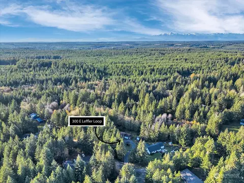 300 E Leffler Loop Rd, Grapeview, WA 98546 photo 28