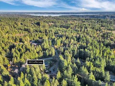 300 E Leffler Loop Rd, Grapeview, WA 98546 photo 29