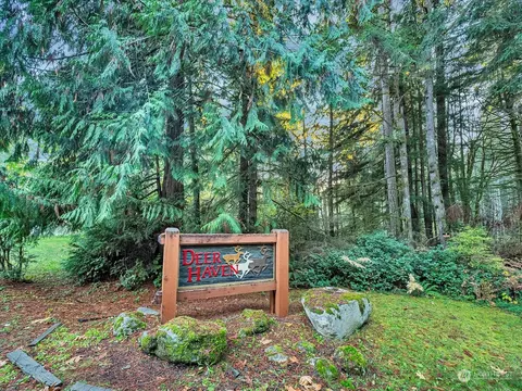 300 E Leffler Loop Rd, Grapeview, WA 98546 photo 35