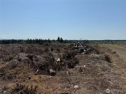 2 Nn Oppelt Rd, Onalaska, WA 98570 photo 7
