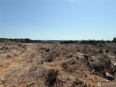 2 Nn Oppelt Rd, Onalaska, WA 98570 photo 5