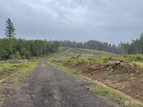 2 Nn Oppelt Rd, Onalaska, WA 98570 photo 3