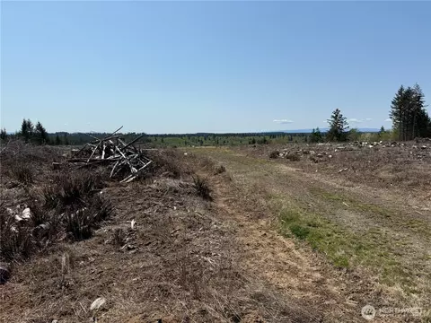 2 Nn Oppelt Rd, Onalaska, WA 98570 photo 6