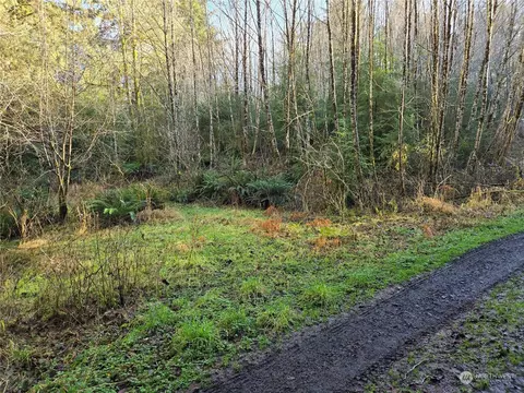 211 Lund Rd, Cosmopolis, WA 98537 photo 8