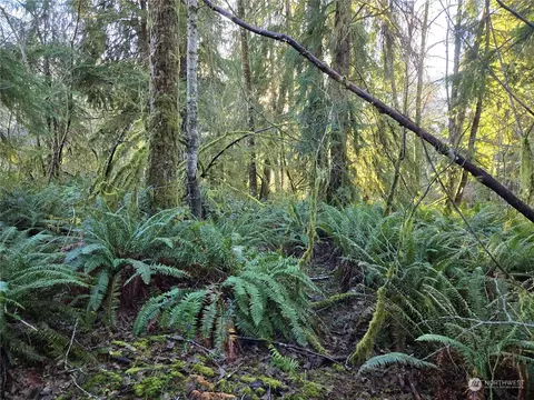 211 Lund Rd, Cosmopolis, WA 98537 photo 9